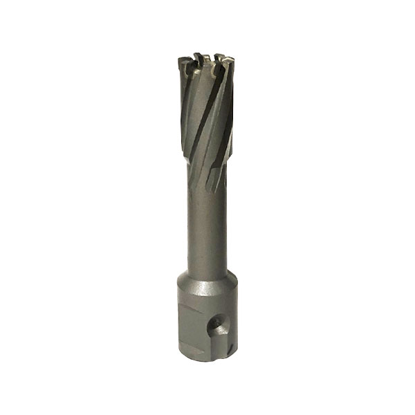 Корончатое сверло T34 19х110 TCT-Pro