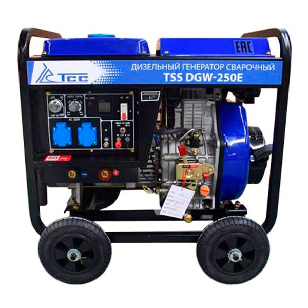 Генератор сварочный TSS DGW-250E Генератор сварочный TSS DGW-250E