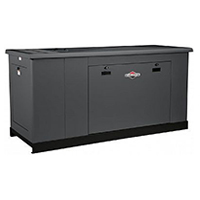 Генератор газовый Briggs & Stratton G110 Home Standby G400