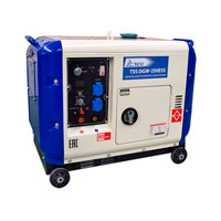 Дизельный сварочный генератор TSS DGW-250ESS