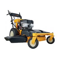 Бензиновая газонокосилка Cub Cadet WIDE CUT E-Start