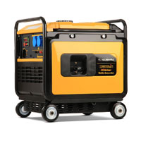 Бензиновый генератор Caiman RG2800