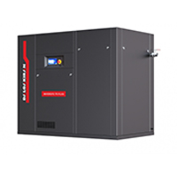 Компрессор винтовой DALGAKIRAN INVERSYS Plus 75-10 ID