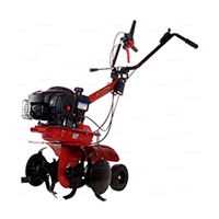Мотокультиватор Eurosystems Euro-3 EVO RM Loncin OHV 139