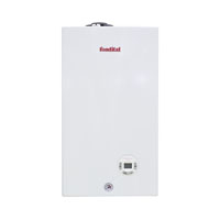 Настенный газовый котел Fondital MINORCA CTFS 18