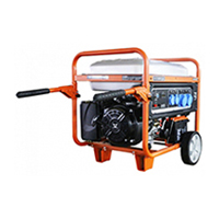 Бензиновый генератор Zongshen PH 13500 E