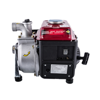 Мотопомпа бензиновая DDE PN40-II