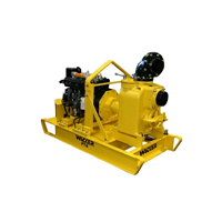 Мотопомпа Wacker Neuson PT 6LS