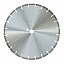 Алмазный диск Dr Schulze DRS-SetEF 4,0 (700 мм) Алмазный диск Dr Schulze DRS-SetEF 4,0 (700 мм)